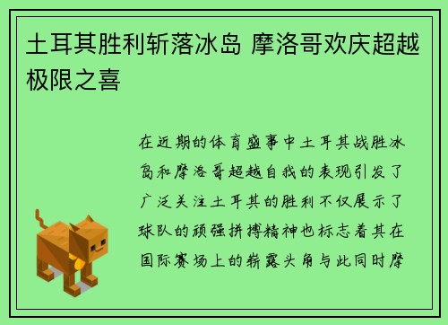 土耳其胜利斩落冰岛 摩洛哥欢庆超越极限之喜