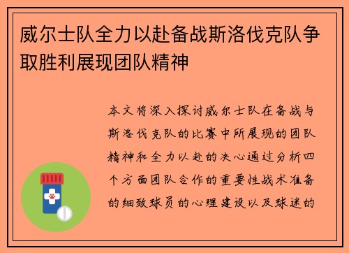 威尔士队全力以赴备战斯洛伐克队争取胜利展现团队精神