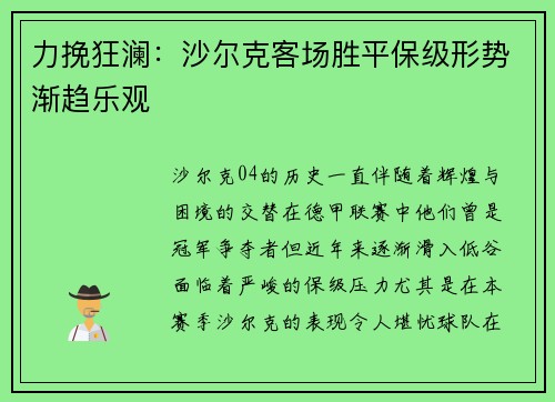 力挽狂澜：沙尔克客场胜平保级形势渐趋乐观
