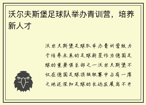 沃尔夫斯堡足球队举办青训营，培养新人才